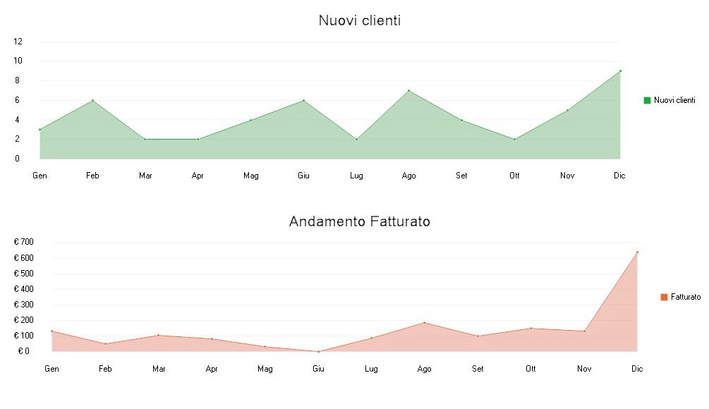 andamento annuale con grafico del software per parrucchieri