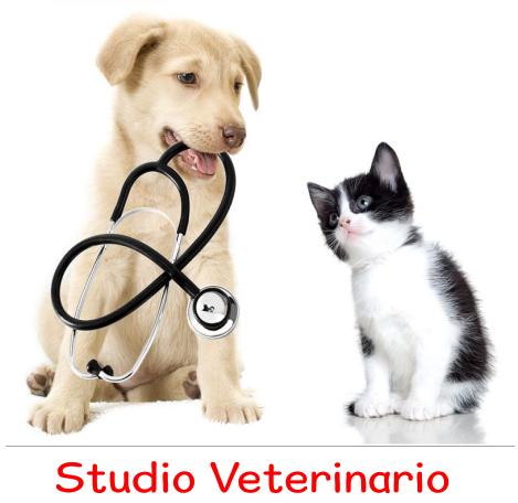 software_veterinario